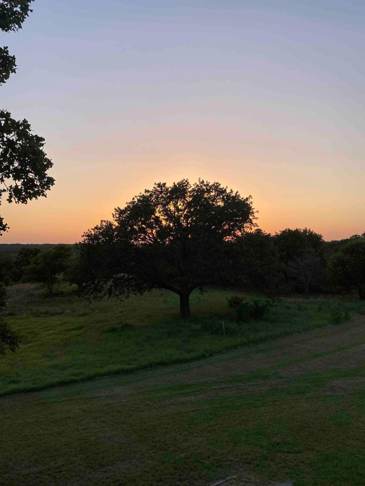 Nature Retreateclectic Country Boho Farmhouse Nocona Zewnętrze zdjęcie
