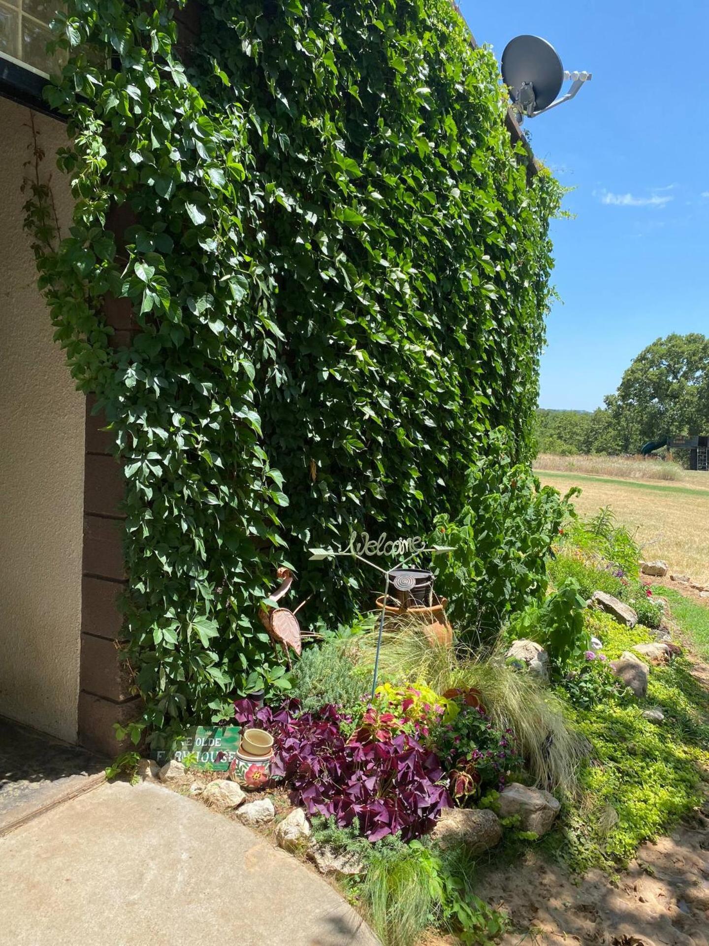 Nature Retreateclectic Country Boho Farmhouse Nocona Zewnętrze zdjęcie